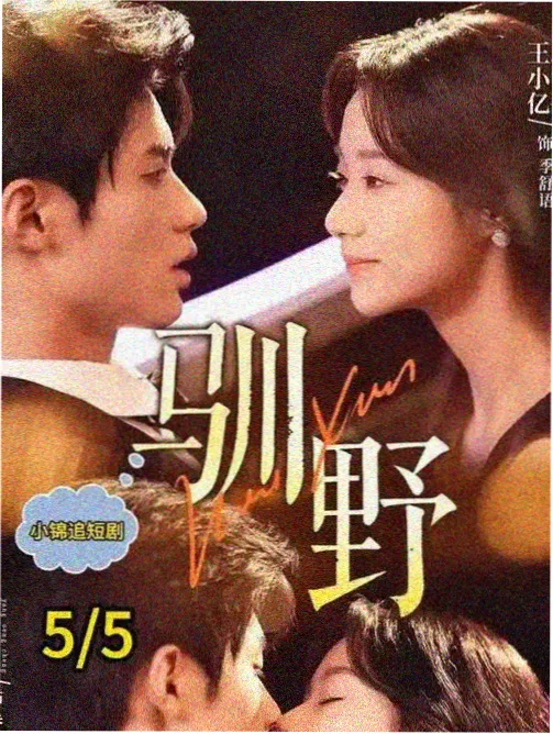 古装轻喜剧剧集封面